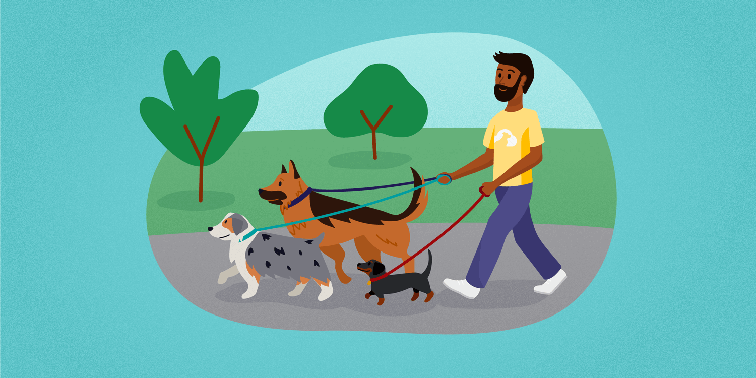 how do i get clients for my dog walking business