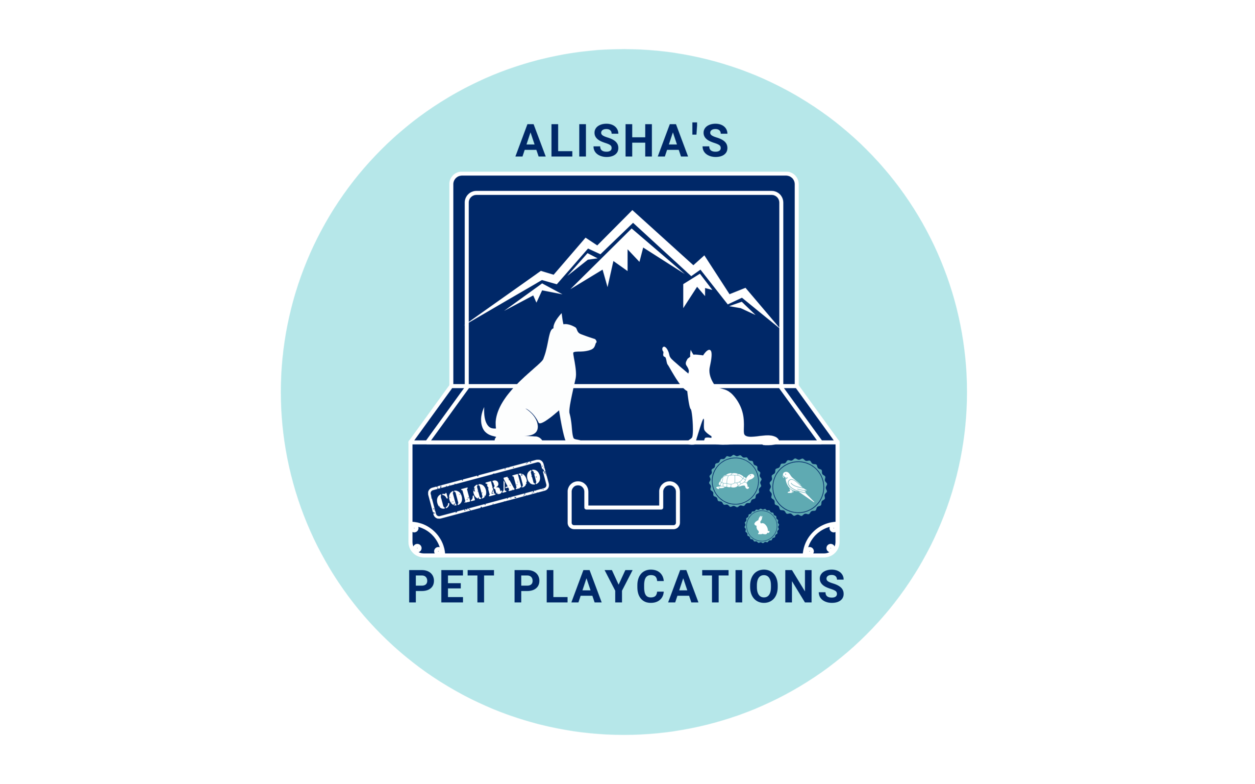 alisha-pet-playcations-summary.png