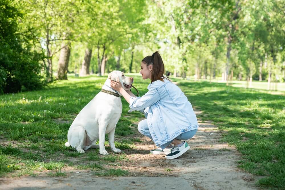 woman-with-dog-in-woods