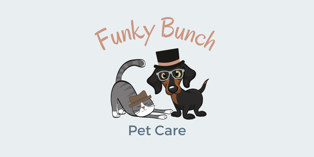 funky-punch-logo-summary