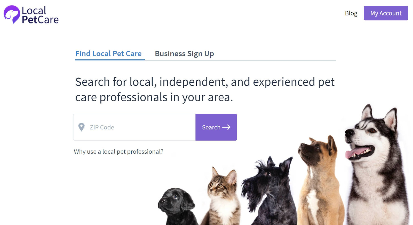 local-pet-care-homepage