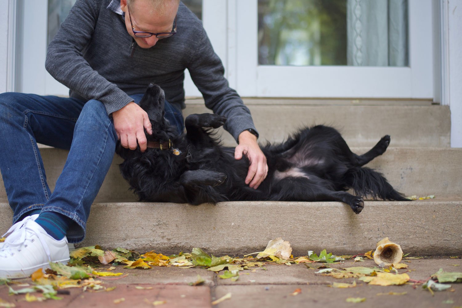 Away-home-and-pet-Robert