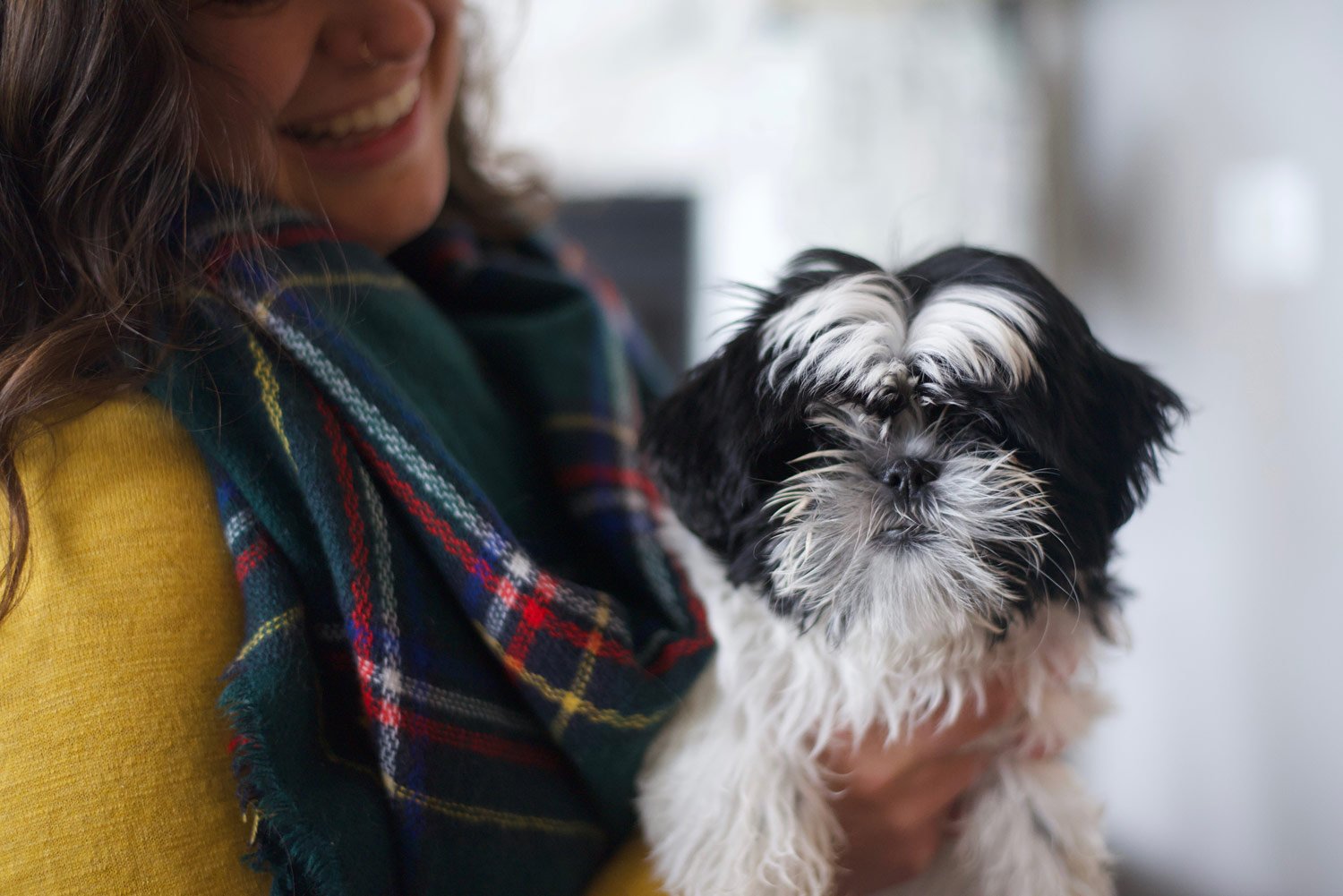 Away-home-and-pet-holding-pup