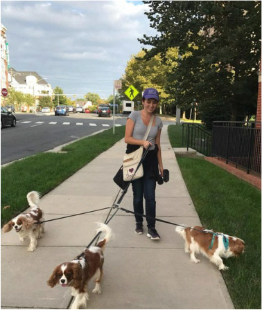 Mickey and Friends Dogs and Owner