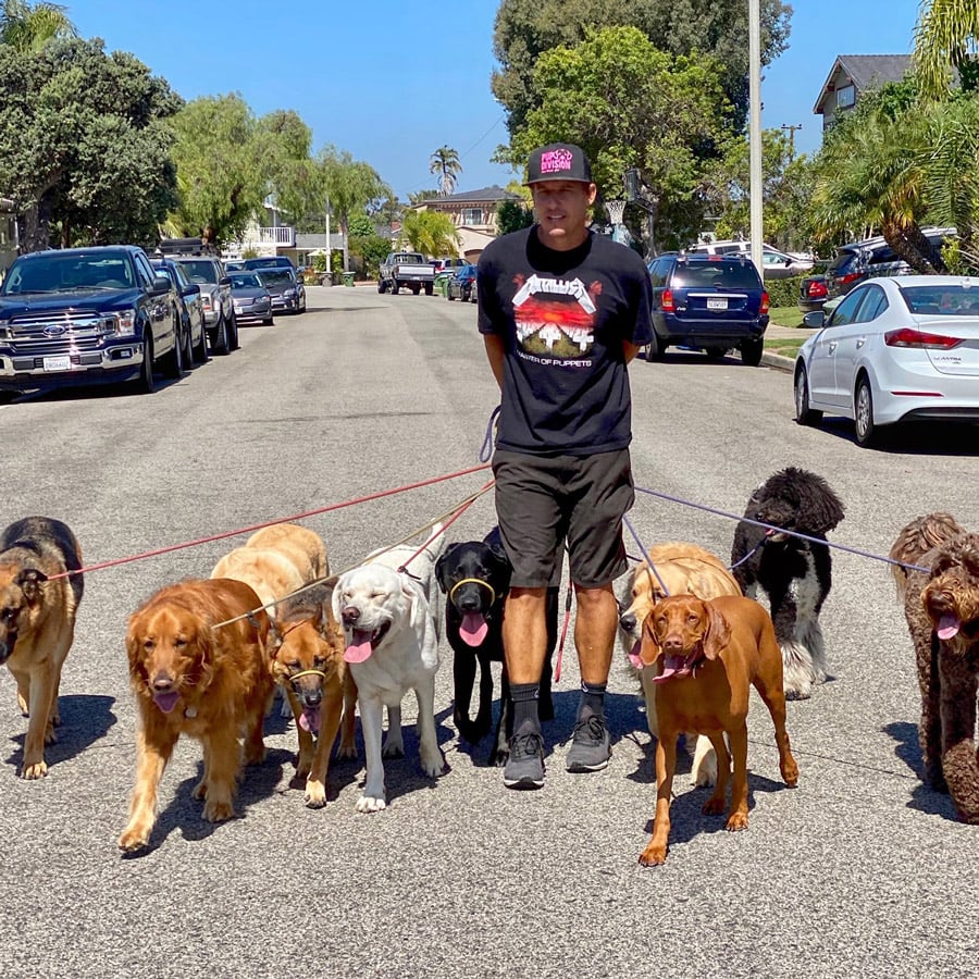 Tom-Pup-Division-Pack-Walk