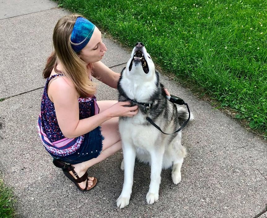 Happy dog twin cities