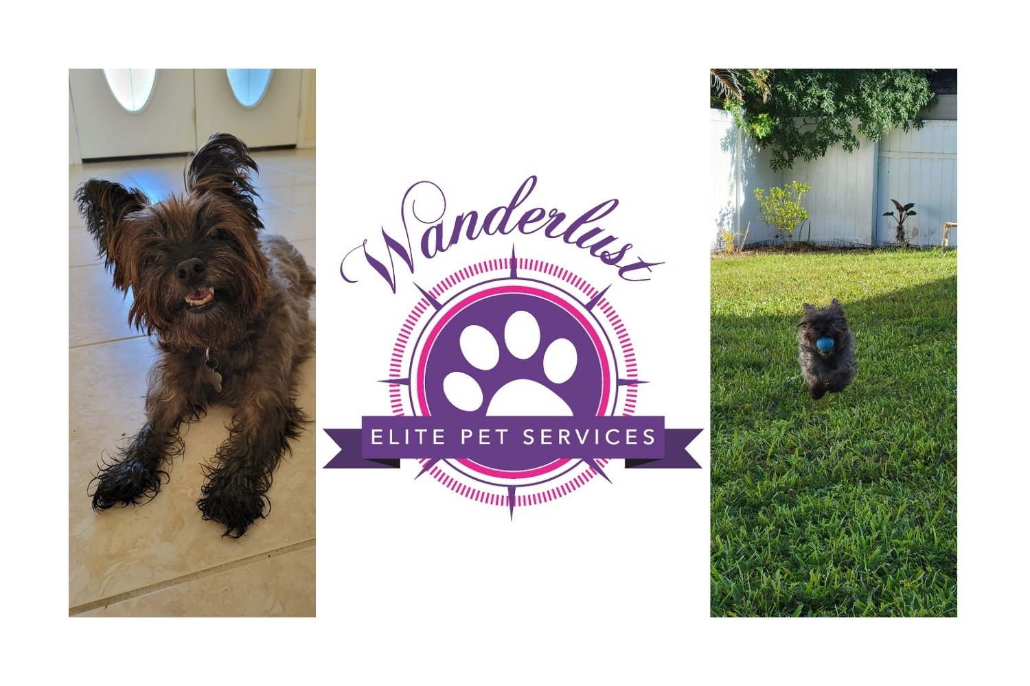 Wanderlust-happy-dog-logo