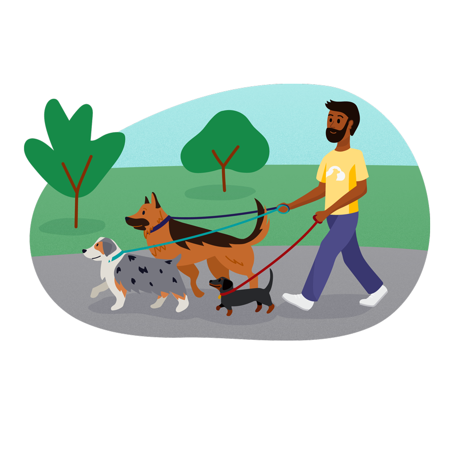 how do i get clients for my dog walking business