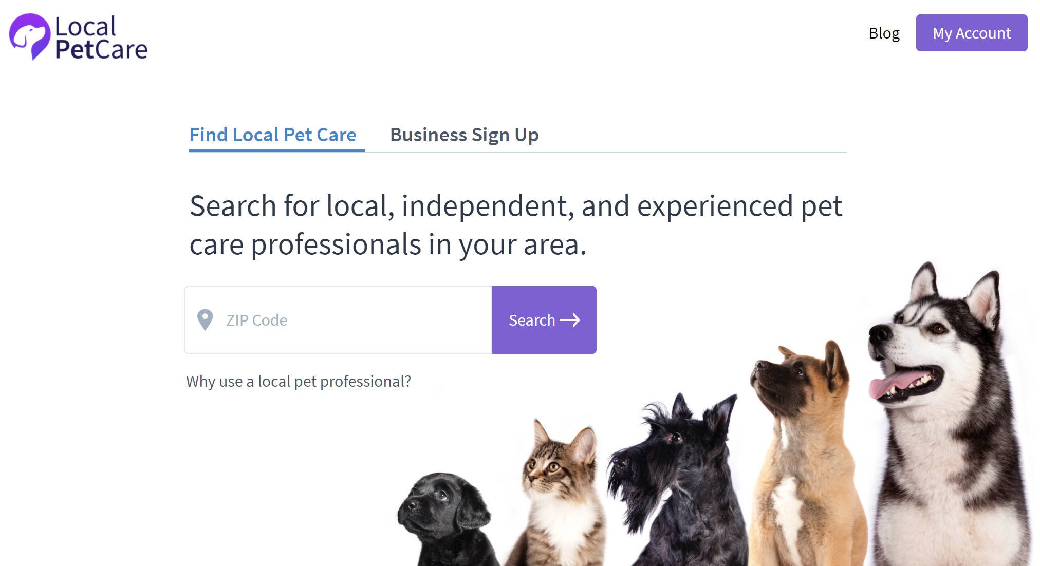 Local Pet Care Homepage Screenshot