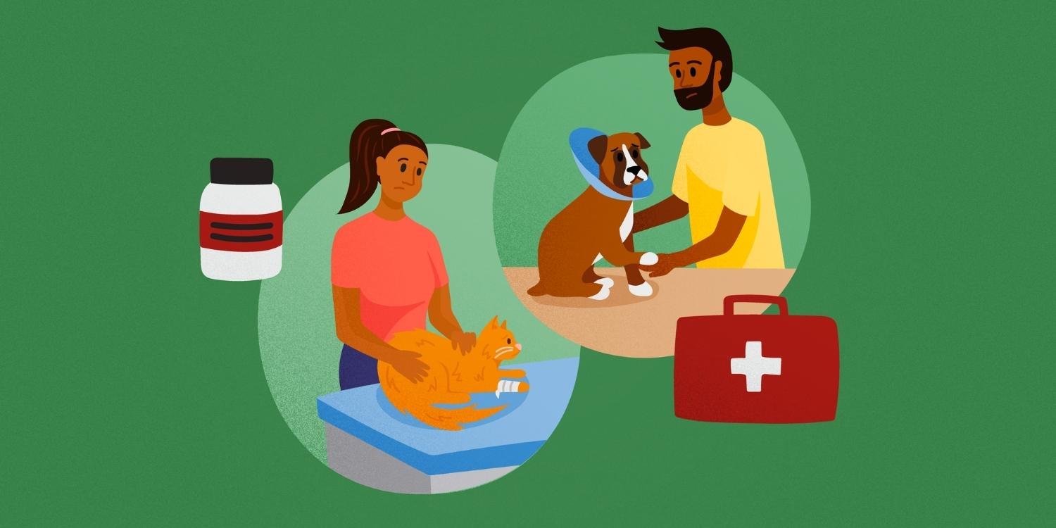 Pet-First-Aid-Illustration