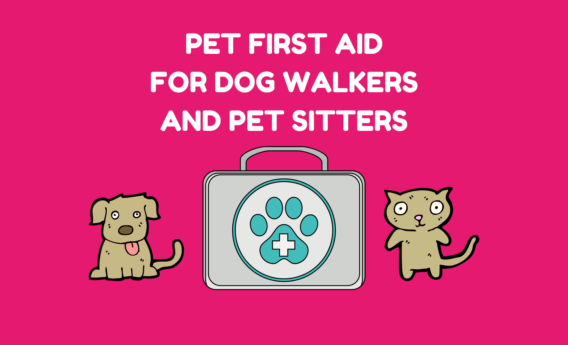 Pet-first-aid-for-dog-walkers-and-pet-sitters