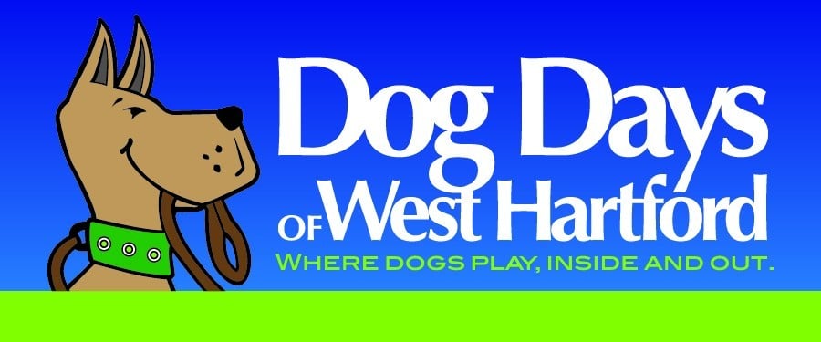 Dog Days of West Hartford Logo