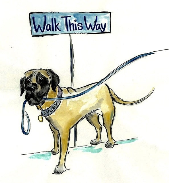 Walk This Way Pet Services, LLC Logo