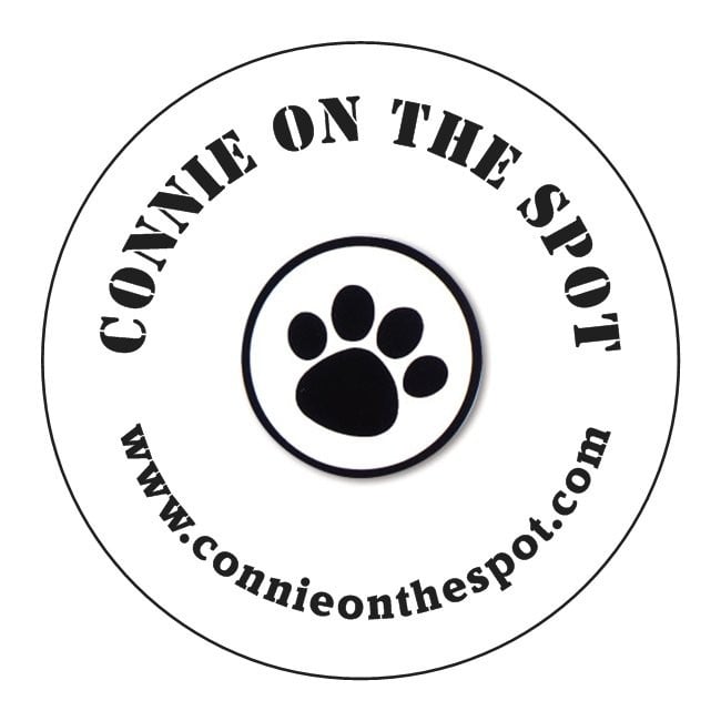 Connie on the Spot Inc Logo