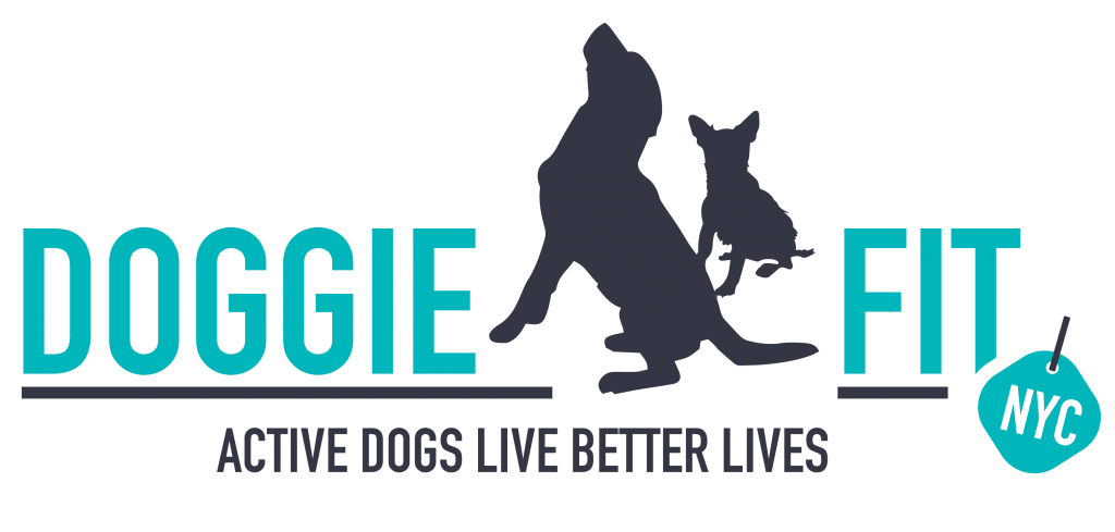 Doggie Fit LLC. Logo