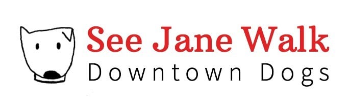 See Jane Walk Logo