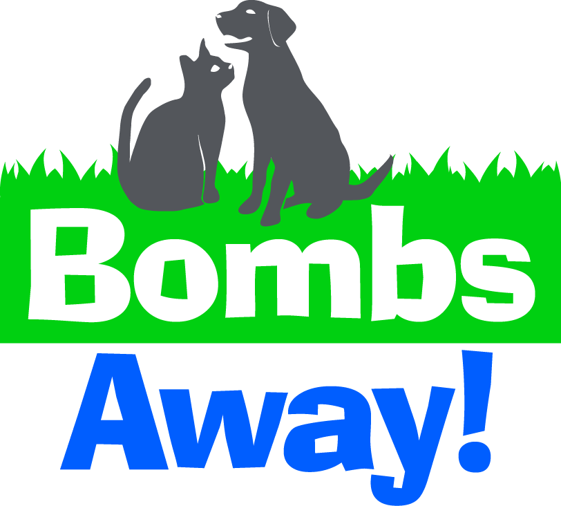 Bombs Away! Logo