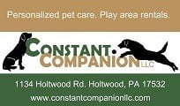 Constant Companion, LLC Logo