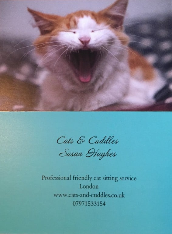 Cats & Cuddles Logo