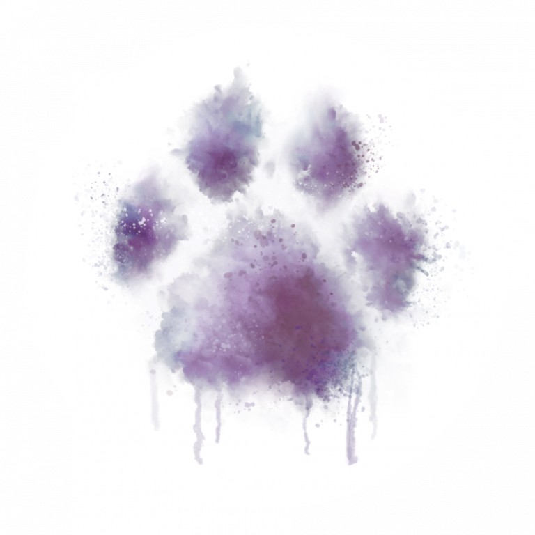 Brooklyn Paw House (Ditmas Paws) Logo