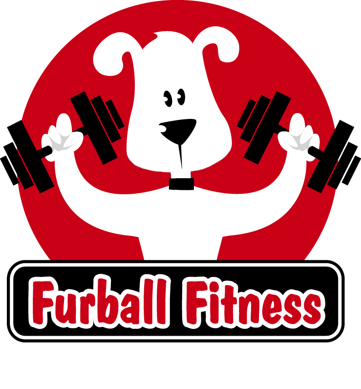 Furball Fitness Dog Walking & Pet Care, LLC Logo