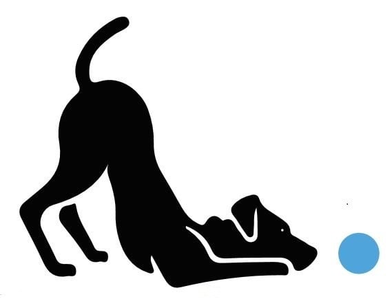 The Right Fluff Pet Sitting Logo