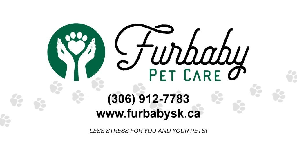 Furbaby Pet Care Logo
