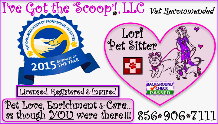 I've Got the 'Scoop'!, LLC, Palmyra's Professional Pet Sitter Logo