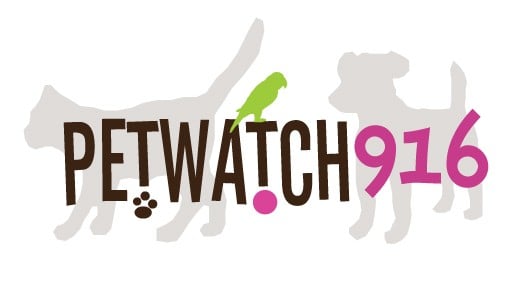 PetWatch 916 Logo