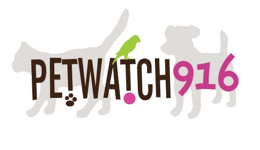 PetWatch 916 Logo