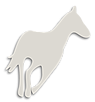 Rebecca's Equine Exercise Service Logo