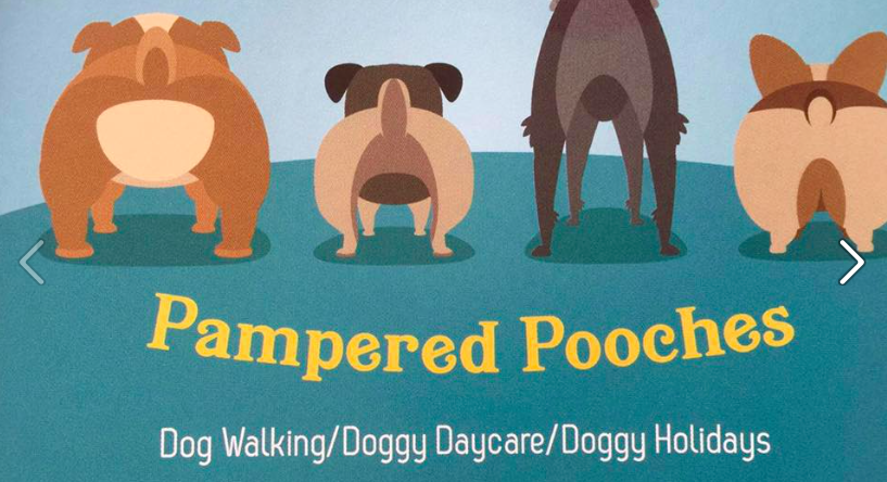 Pampered Pooches Logo