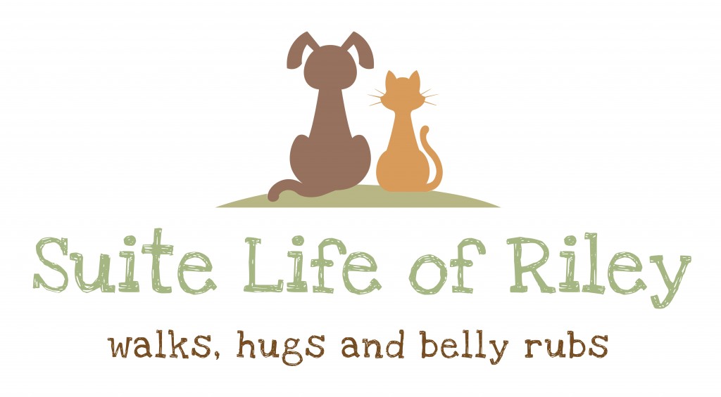 Suite Life of Riley Logo