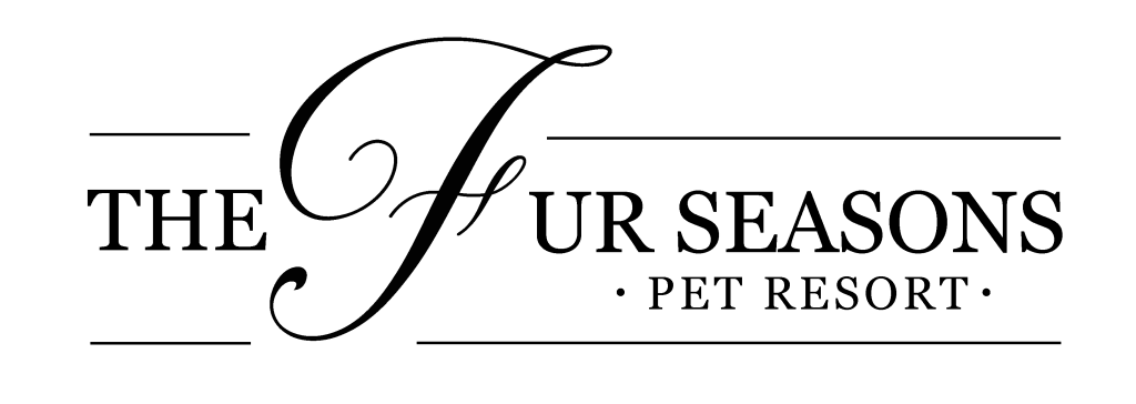 Emma Button Logo