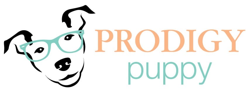 Prodigy Puppy Logo