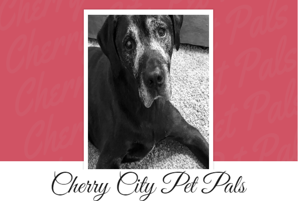 Cherry City Pet Pals Logo
