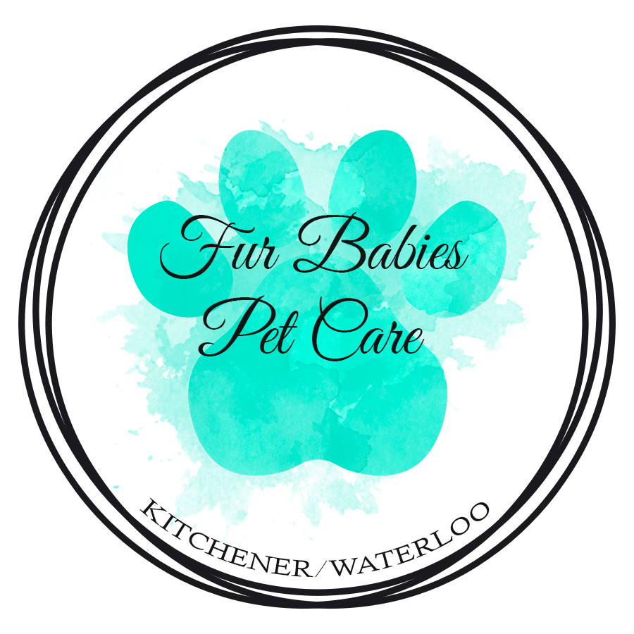 Fur Babies Pet Care Logo