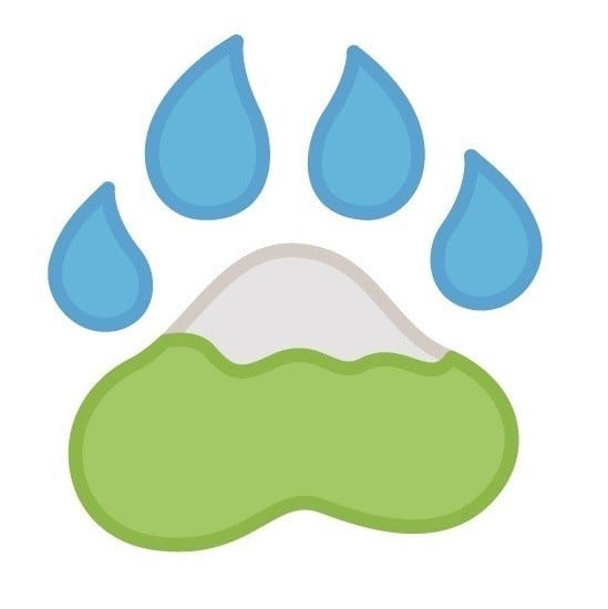 RainCoast Dog HIkes Logo