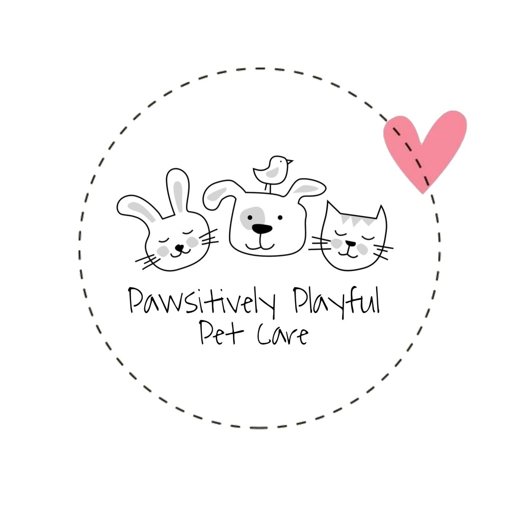 pawsitively-playful-pet-care-portal