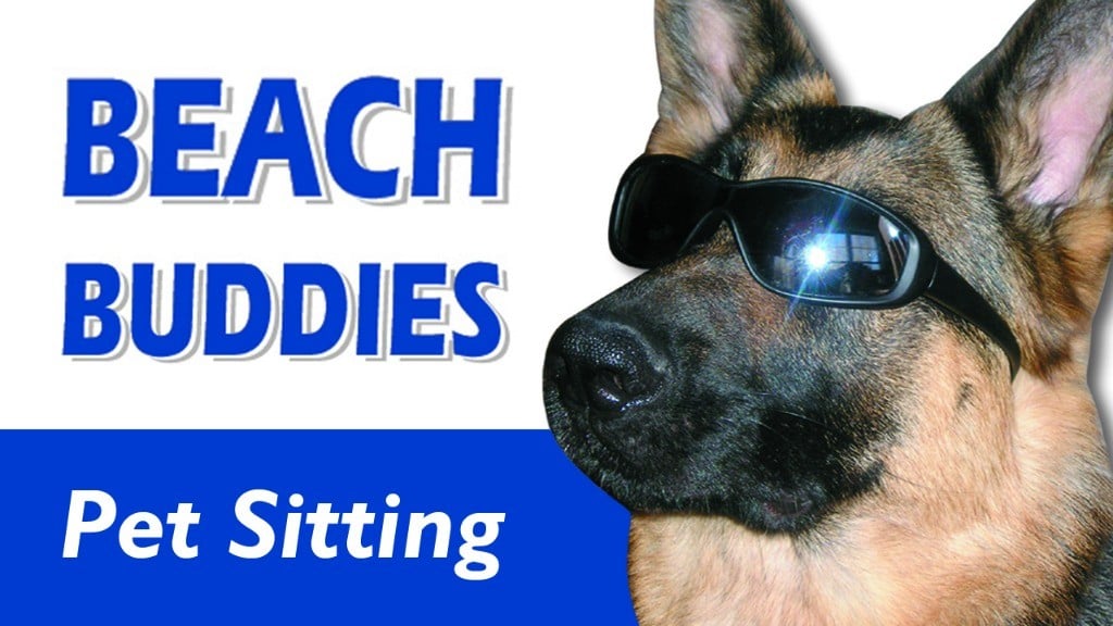 Beach Buddies Pet Sitting  Logo