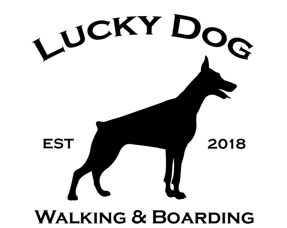 Lucky Dog Walking and Boarding Logo