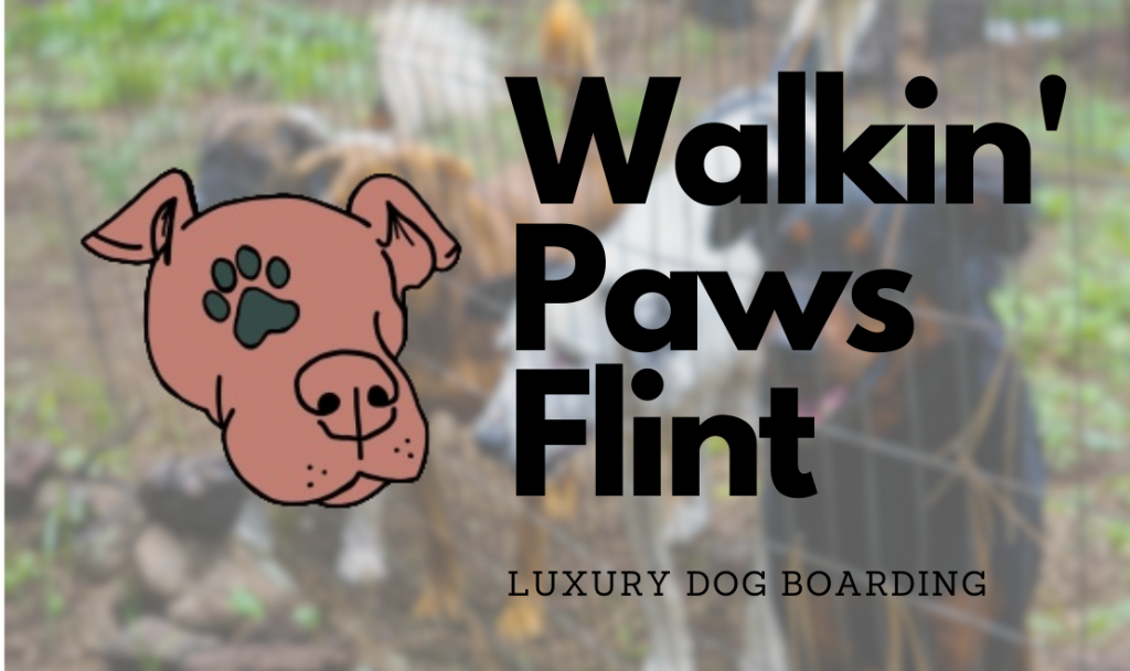 Walkin Paws Flint Logo