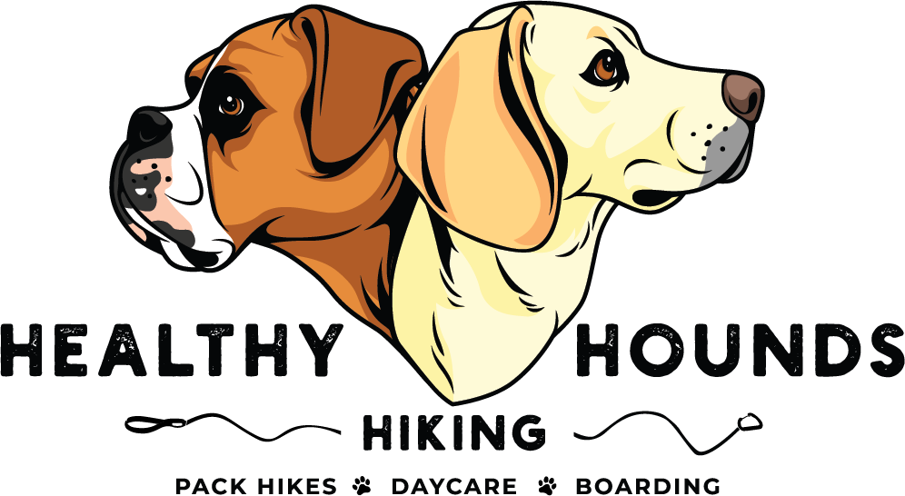 Healthy Hounds Hiking Logo