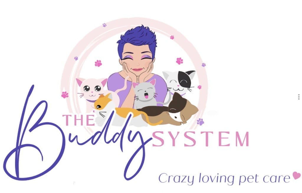 The Buddy System Logo