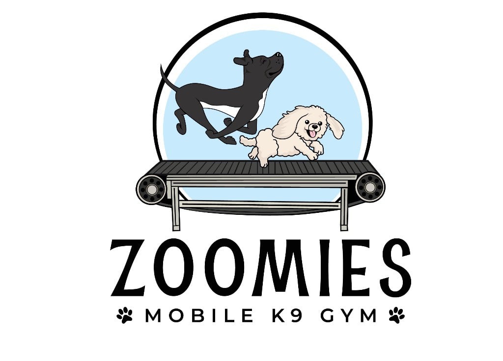 Zoomies Logo