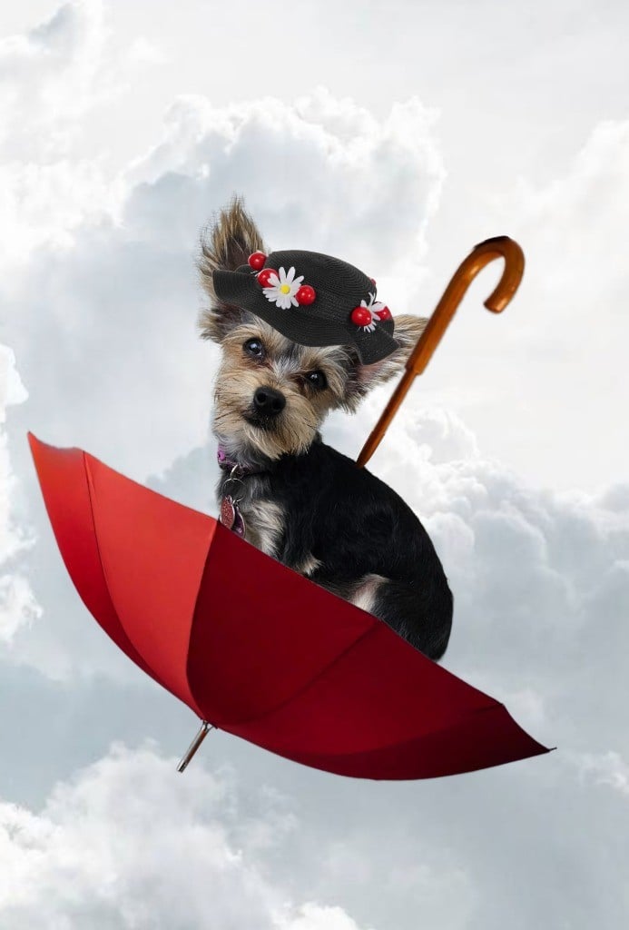Mary Puppins LLC Logo