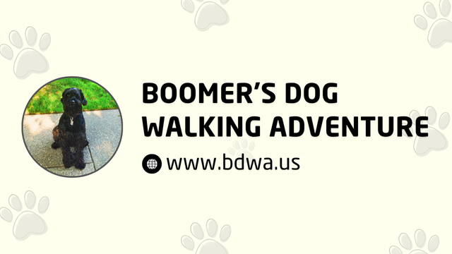 Boomer Dog Walking Adventures Logo