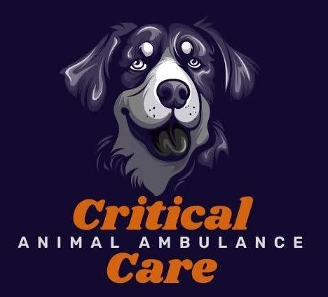CRITICAL CARE ANIMAL AMBULANCE INC Logo