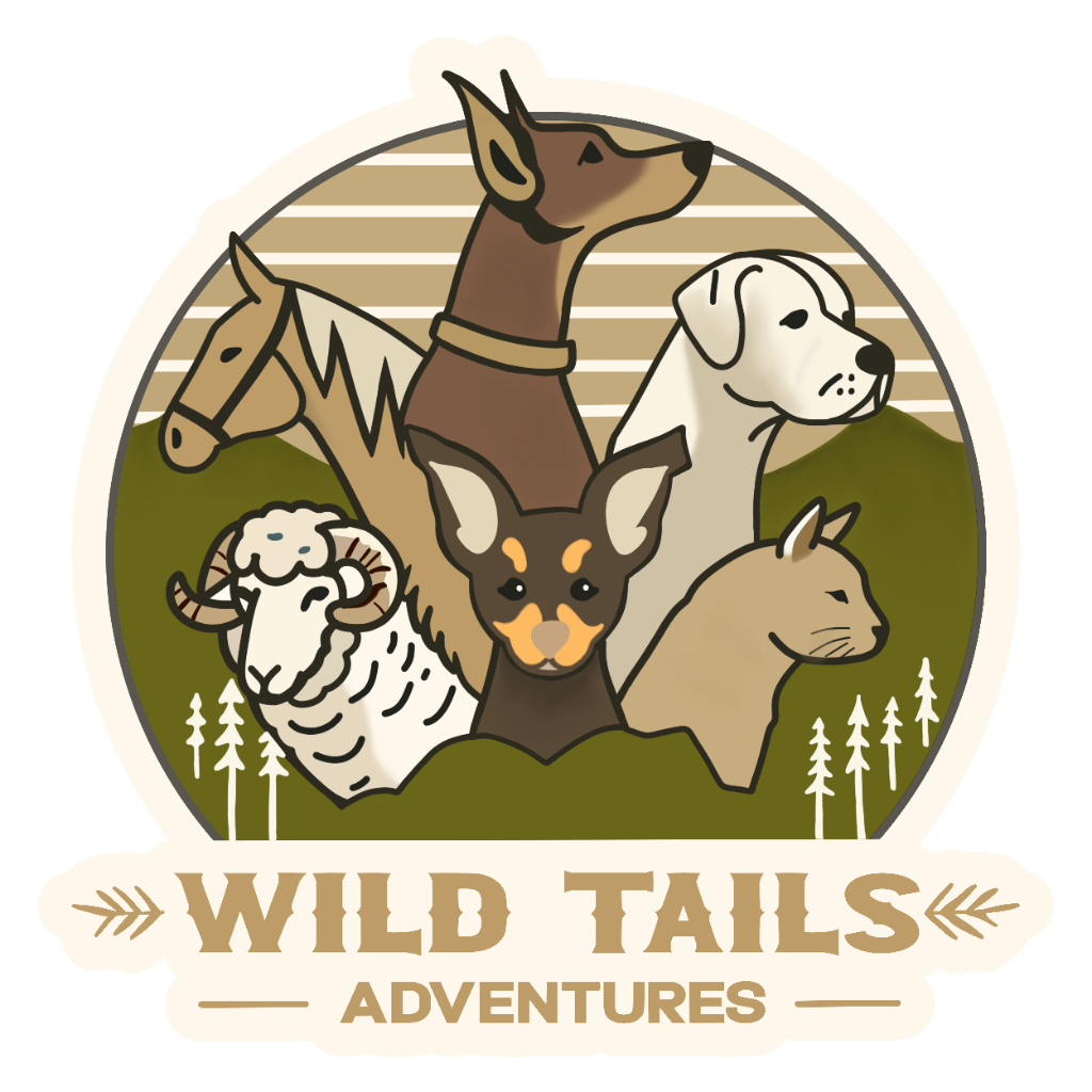 Wild Tails Adventures  Logo