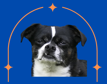 Tubbys Poop Scoop LLC Logo